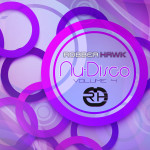Robber Hawk – Nu-Disco Vol. 4