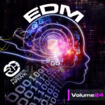 Robber Hawk – EDM Vol. 24