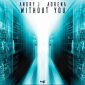 Adrena, Andry J - Without You