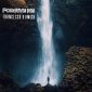 D'Amico Francesco - Forgive Me