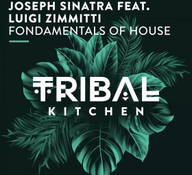 Joseph Sinatra Feat Luigi Zimmitti - Fondamentals Of House