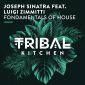 Joseph Sinatra Feat Luigi Zimmitti - Fondamentals Of House