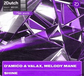 D'Amico & Valax, Melody Mane - Shine
