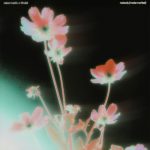 Alex Belloni, Luke DB - Pizza Margherita